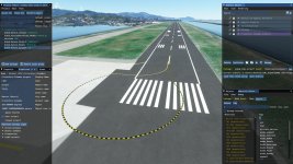 Microsoft Flight Simulator_2022.07.03-17.06.jpg