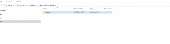 Immagine 2024-05-12 212158.png